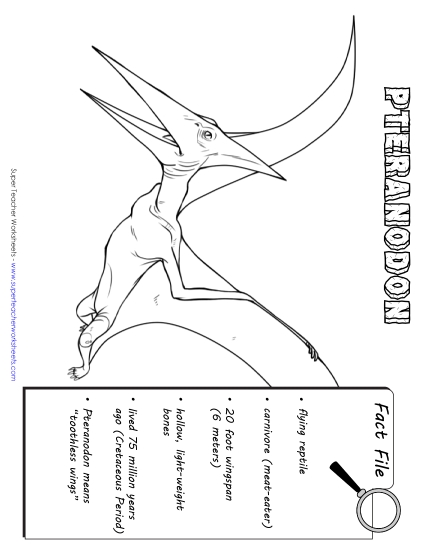 Dino Fact Files - Pteranodon Fact File Dino Fact Files - Pteranodon Fact File