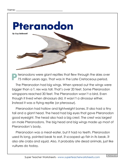 Reading Comprehension - Pteranodon