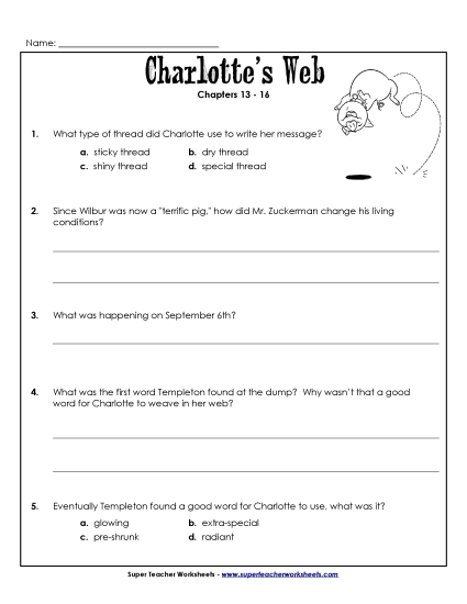Chapters 13 - 16 - Questions for Chapters 13-16