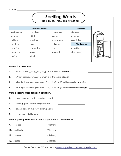 Printable Worksheets - Questions for E-8