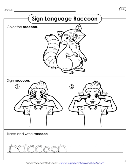 Animals - Raccoon (Printable PDF Worksheet)
