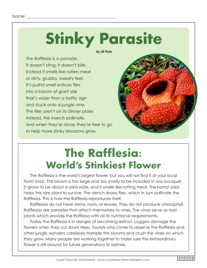 Poems - Rafflesia (Article & Poem) Poems - Rafflesia (Article & Poem)