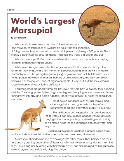 Nonfiction Articles  - Red Kangaroo 