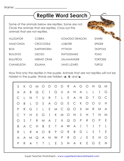 Animal Group Word Searches - Reptile Word Search