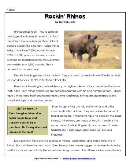 Mammals - Rhinos Mammals - Rhinos