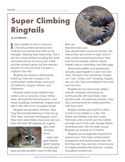 Nonfiction - Ringtails Nonfiction - Ringtails