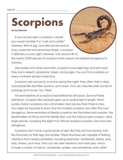 Animal Articles - Scorpions Animal Articles - Scorpions