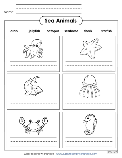 Worksheets & Activities - Sea Animal Names Worksheets & Activities - Sea Animal Names