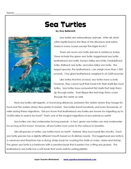 Greek Gods Series - Sea Turtles Greek Gods Series - Sea Turtles
