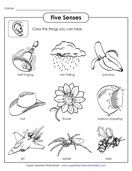 Worksheets - Sense of Hearing Worksheets - Sense of Hearing