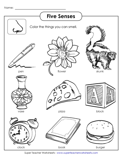 Worksheets - Sense of Smell Worksheets - Sense of Smell