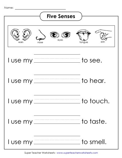 Worksheets - Senses: Fill in the Words
