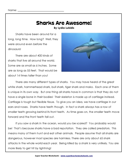Fish - Sharks