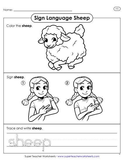 Animals - Sheep (Printable PDF Worksheet)