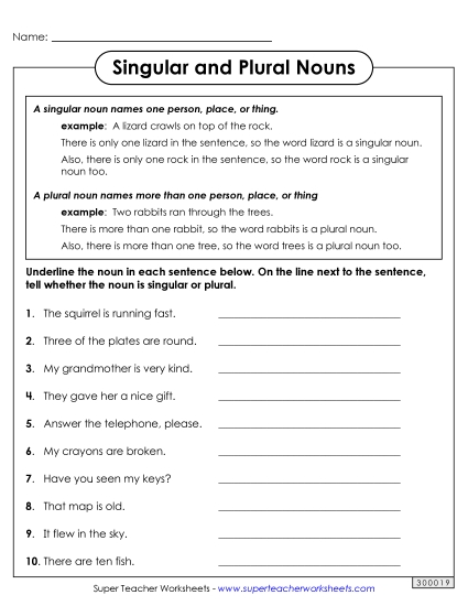 Singular & Plural Nouns - Singular and Plural Nouns