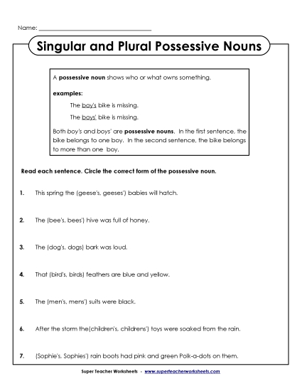 Singular & Plural Possessive - Singular & Plural Possessive Nouns
