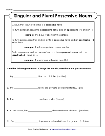 Singular & Plural Possessive - Singular & Plural Possessive Sentences
