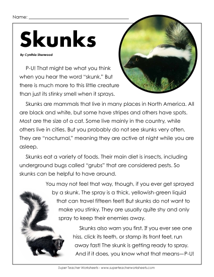Nonfiction Articles - Skunks Nonfiction Articles - Skunks