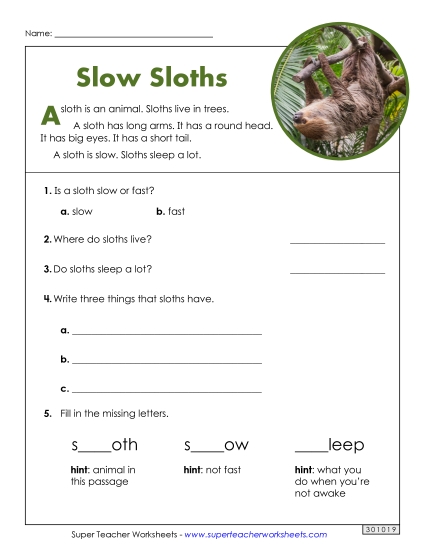 Short Passages - Slow Sloths (Short Article)