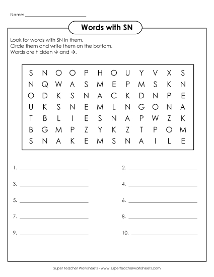 Worksheets - SN Word Search