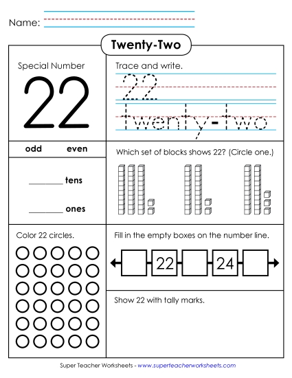 Number Twenty-Two - Special Number: 22