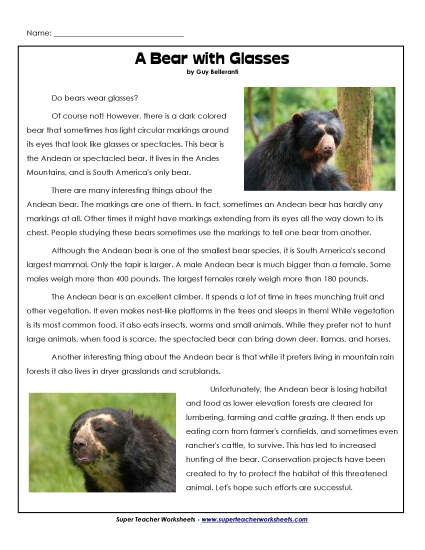 Mammals - Spectacled Bear