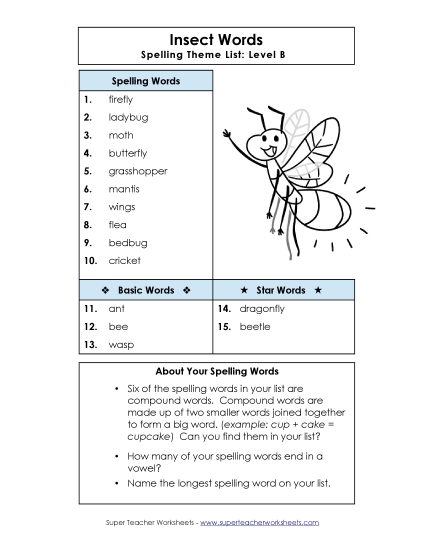 Spelling List - Spelling List (B-Insect Words) 