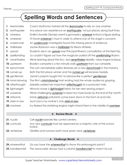 Spelling Test - Spelling Sentences (F-14)