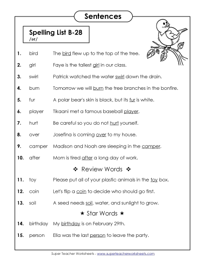 Spelling Test - Spelling Test Sentences (B-28)