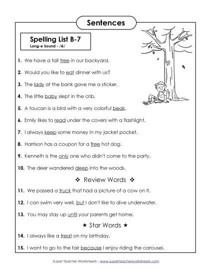 Spelling Test - Spelling Test Sentences (B-7)