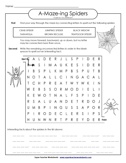 Puzzles - Spider Word Maze Puzzles - Spider Word Maze