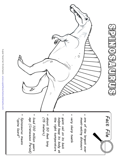 Dino Fact Files - Spinosaurus Fact File Dino Fact Files - Spinosaurus Fact File