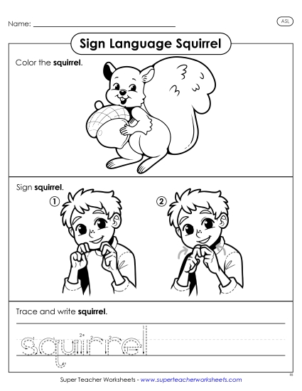 Animals - Squirrel (Printable PDF Worksheet)
