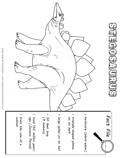 Dino Fact Files - Stegosaurus Fact File Dino Fact Files - Stegosaurus Fact File