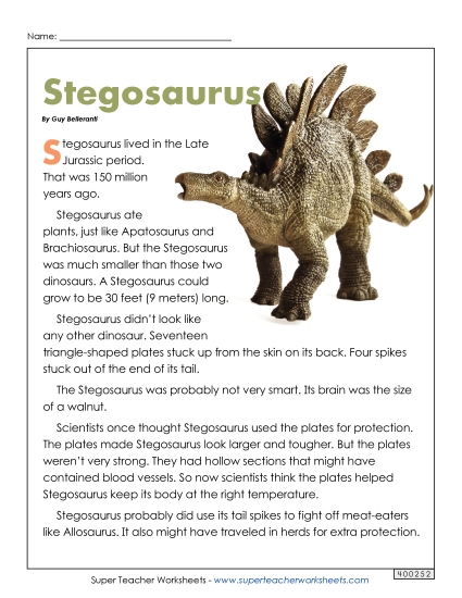 Reading Comprehension - Stegosaurus