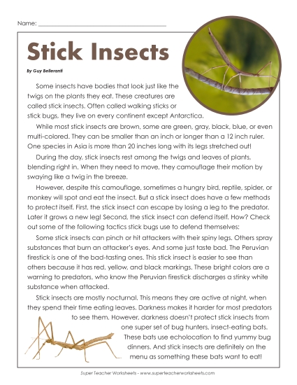 Nonfiction - Stick Insects Nonfiction - Stick Insects