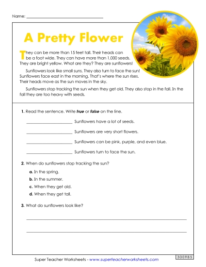 Short Passages - Sunflowers (Short) Short Passages - Sunflowers (Short)