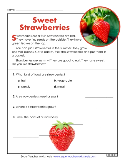 Nonfiction Passages - Sweet Strawberries (Short Article)