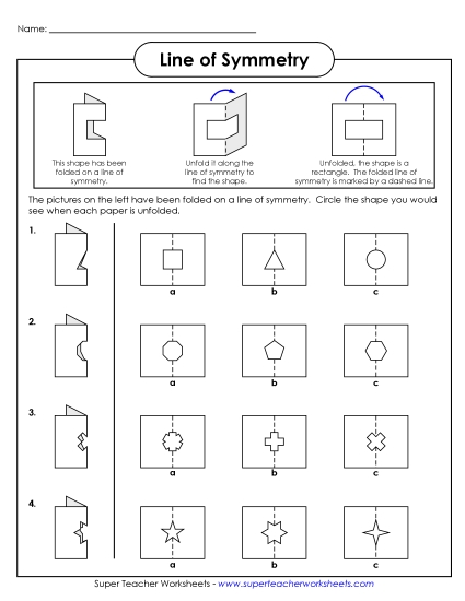 Symmetry Folded Shapes