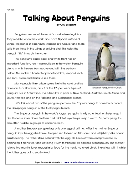 Reading Comprehension - Talking About Penguins Reading Comprehension - Talking About Penguins