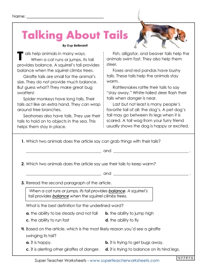 Animals - Talking About Tails Animals - Talking About Tails