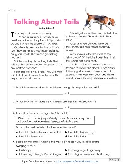 Animal Topics - Talking About Tails - Reading and Questions Animal Topics - Talking About Tails - Reading and Questions