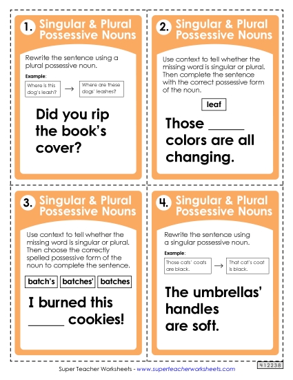 Singular & Plural Possessive - Task Cards: Singular and Plural Possessive Nouns