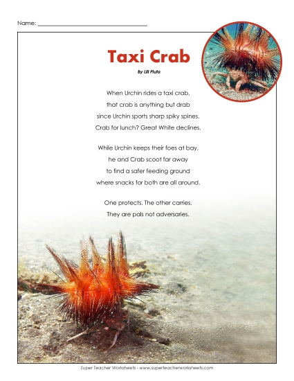 6th Grade Poems - Taxi Crab 6th Grade Poems - Taxi Crab