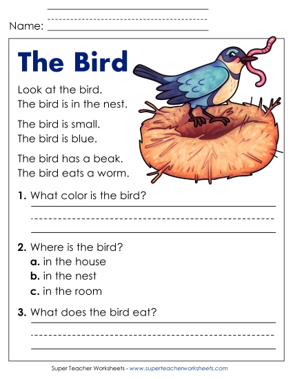 Reading Comprehension and  Additional ELA Skills - The Bird