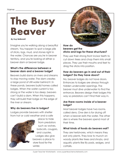 Reading Comprehension - The Busy Beaver