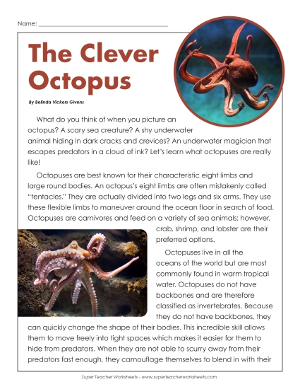 Nonfiction Articles - The Clever Octopus 