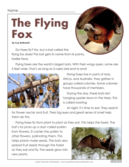 Nonfiction - The Flying Fox Nonfiction - The Flying Fox