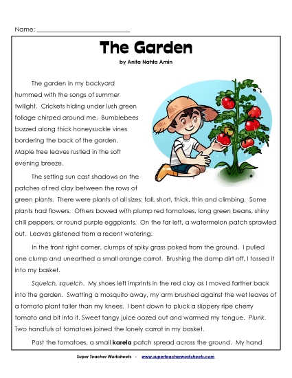 Reading Comprehension - The Garden Reading Comprehension - The Garden