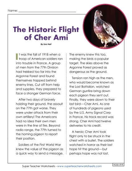 Nonfiction Social Studies Articles - The Historic Flight of Cher Ami Nonfiction Social Studies Articles - The Historic Flight of Cher Ami